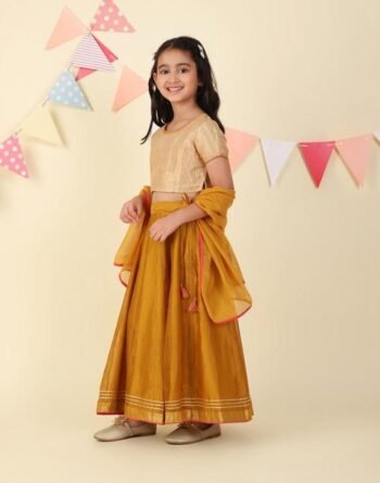 Mustard Cotton Silk Blend Hand Woven Lehenga Set
